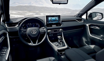 Renting Toyota RAV4 lleno