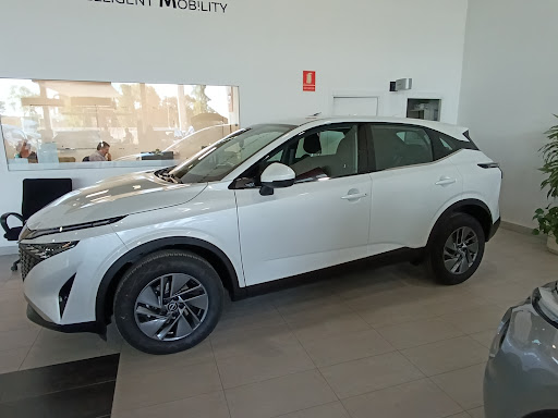 Photo from customer review