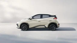 Renting BYD Dolphin Surf lleno