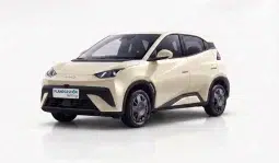 Renting BYD Dolphin Surf Eléctrico