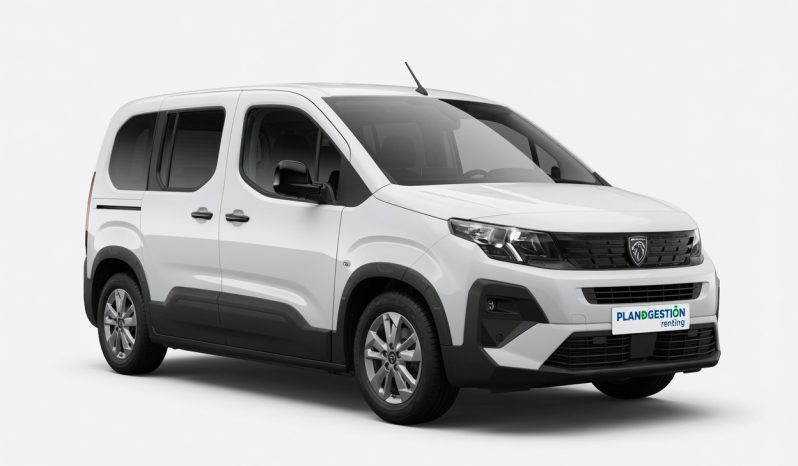 Renting Peugeot Rifter BlueHDi lleno